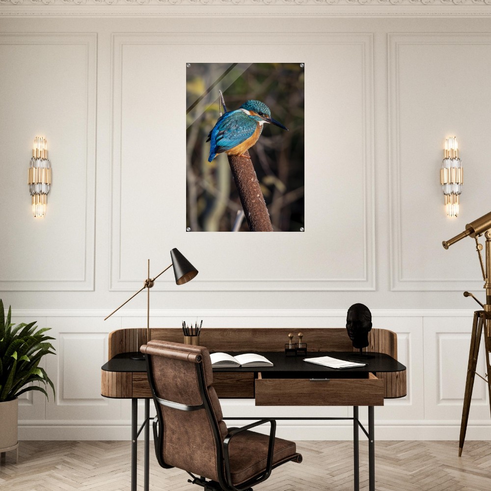 Kingfisher on a Bullrush - Acrylic fine art print - Image 5