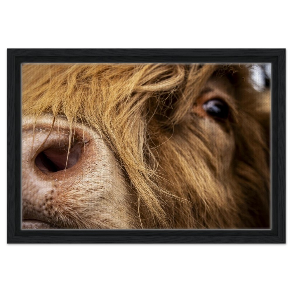 Highland Cow Nose - Framed Canvas - Image 8