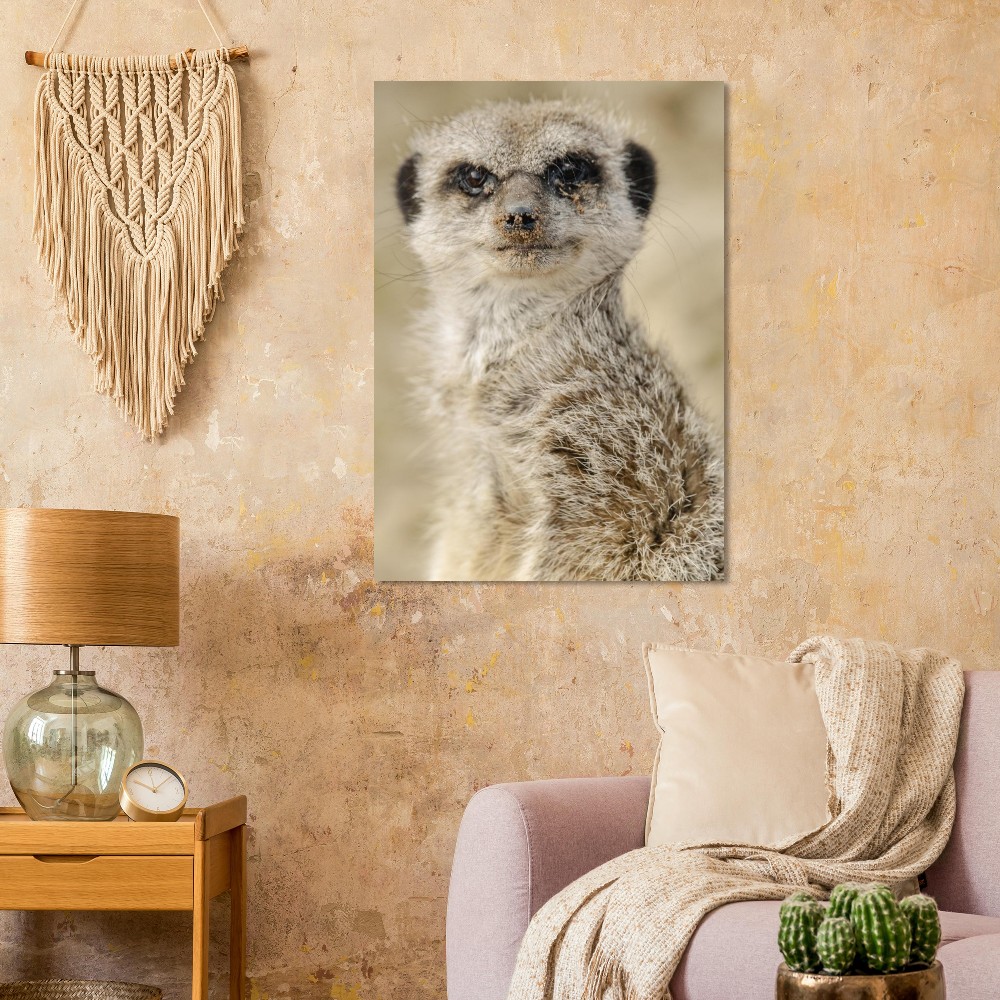 Dreamy Meercat - Aluminum fine art Print - Image 6