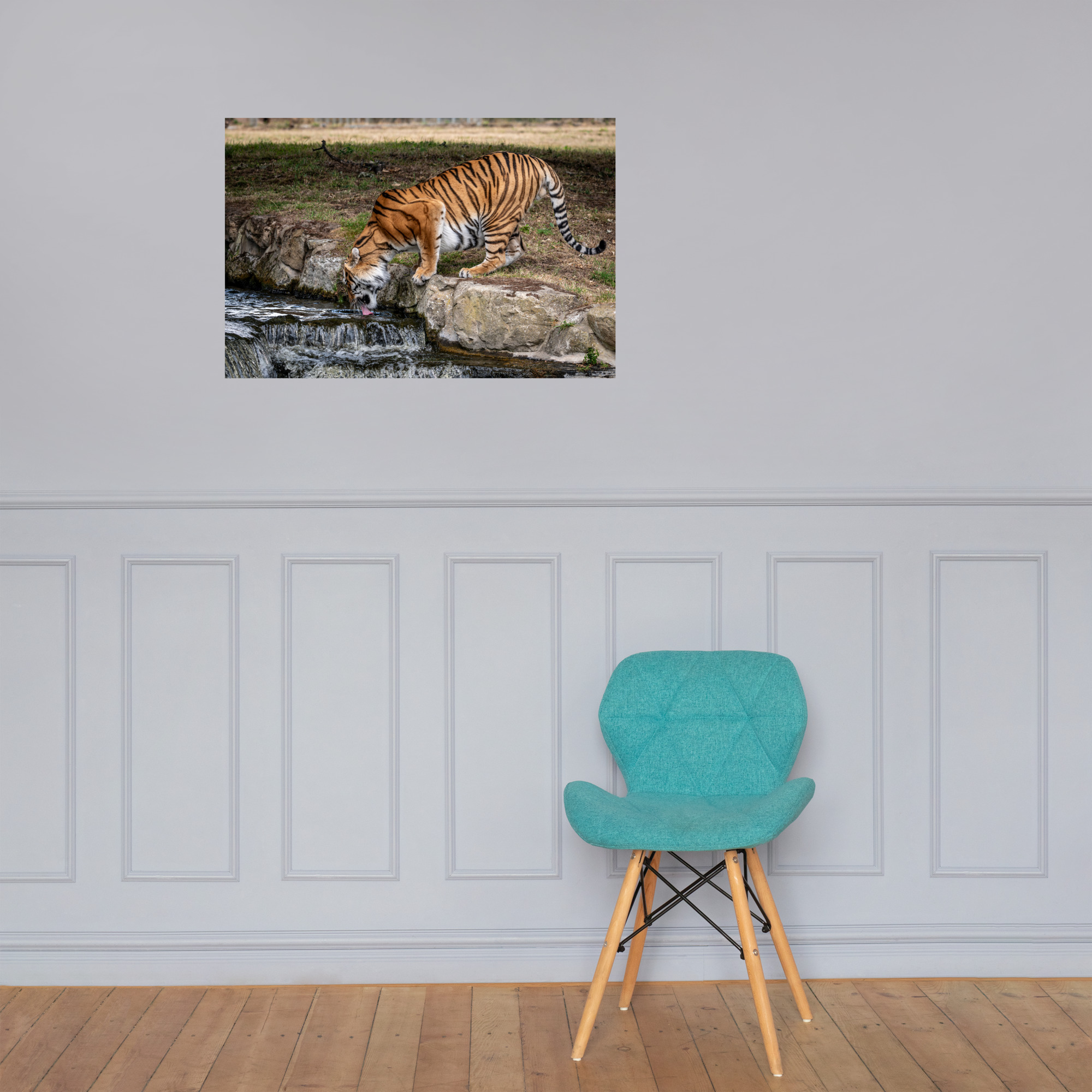Amur Tiger dinking - Fine art print - Image 3