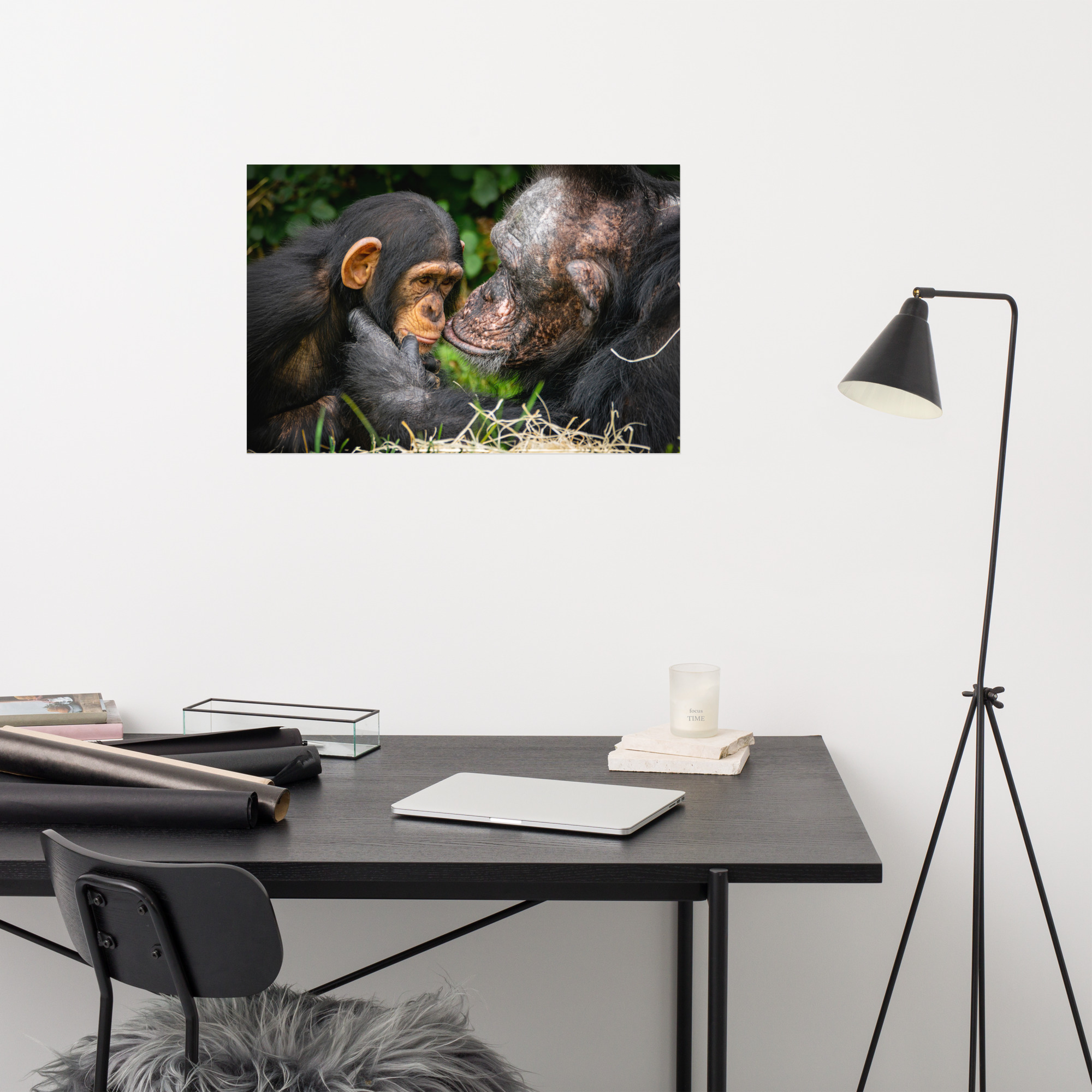 A tender Chimpanzee moment - Fine art print - Image 7