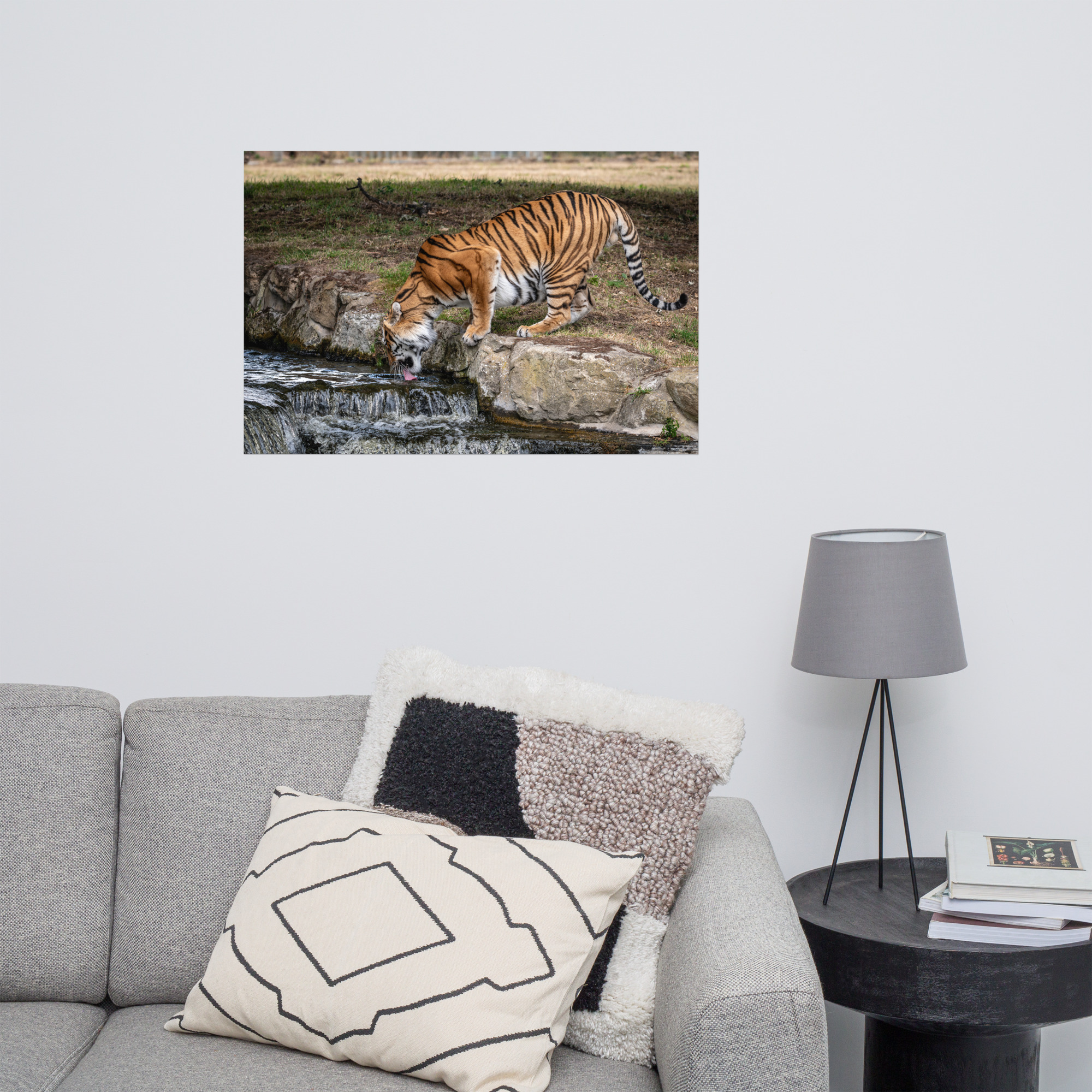 Amur Tiger dinking - Fine art print - Image 8