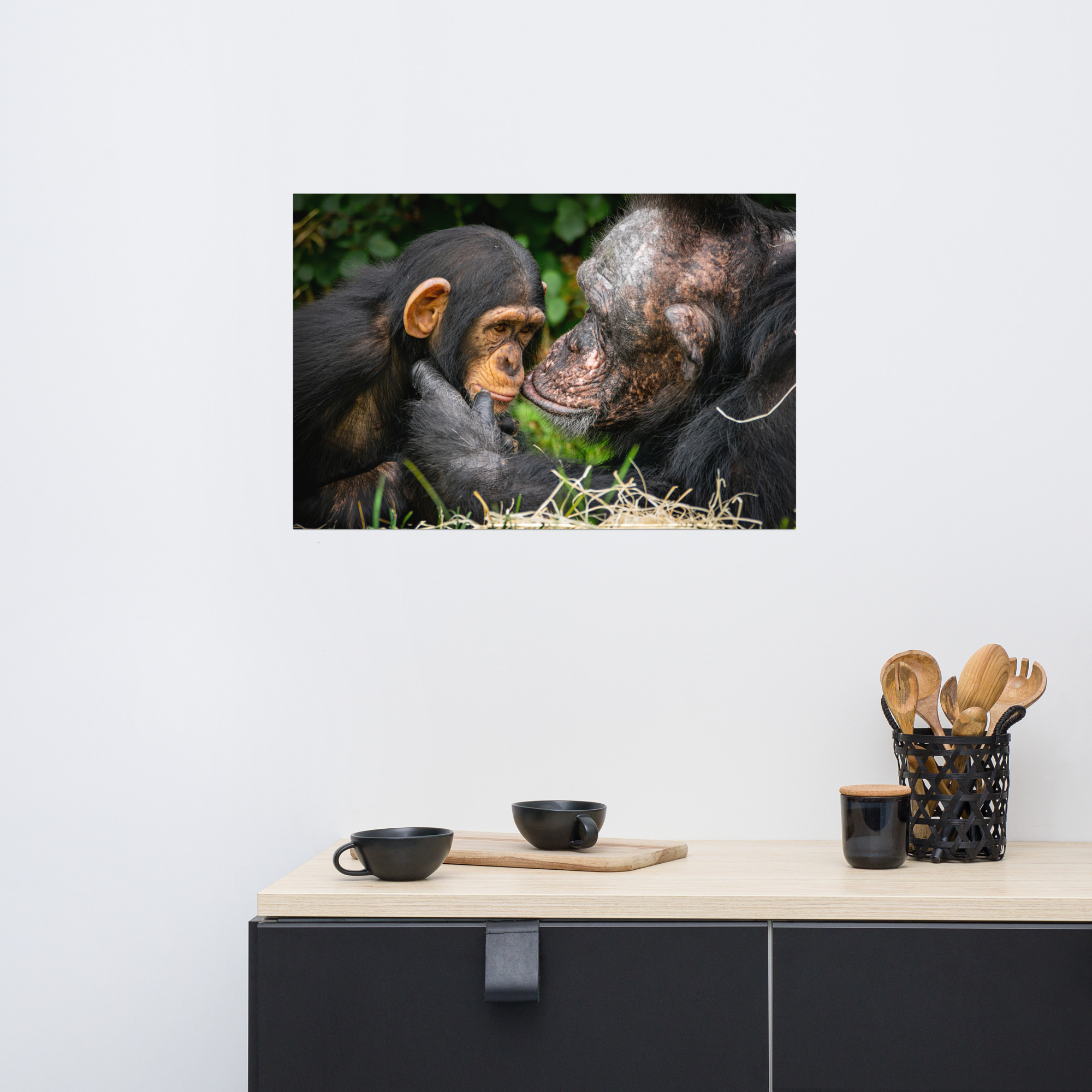 A tender Chimpanzee moment - Fine art print - Image 6