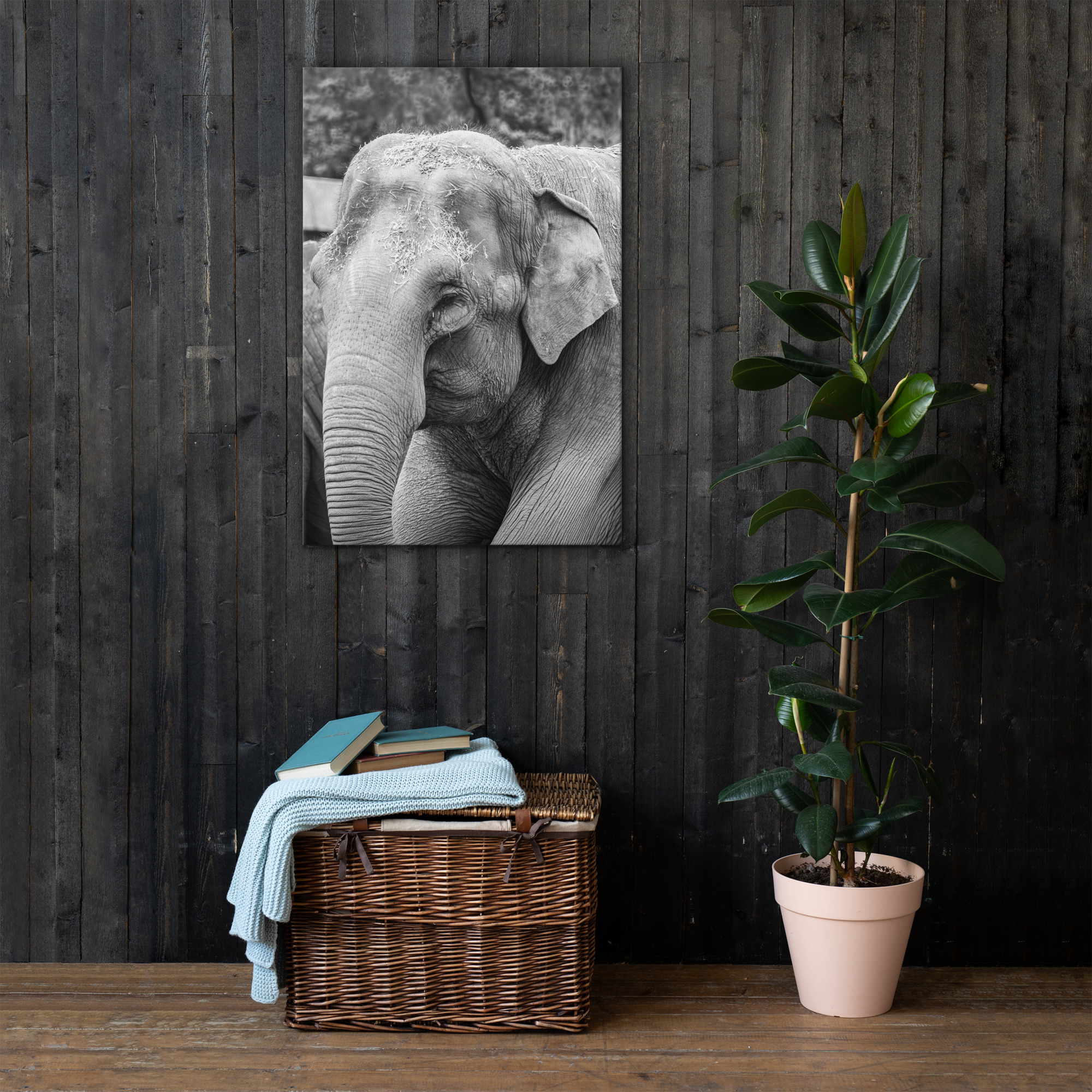Elephant B&W - Thin canvas fine art print - Image 2