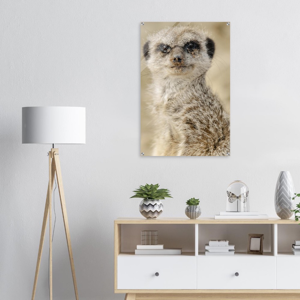 Dreamy Meercat - Acrylic fine art print - Image 4