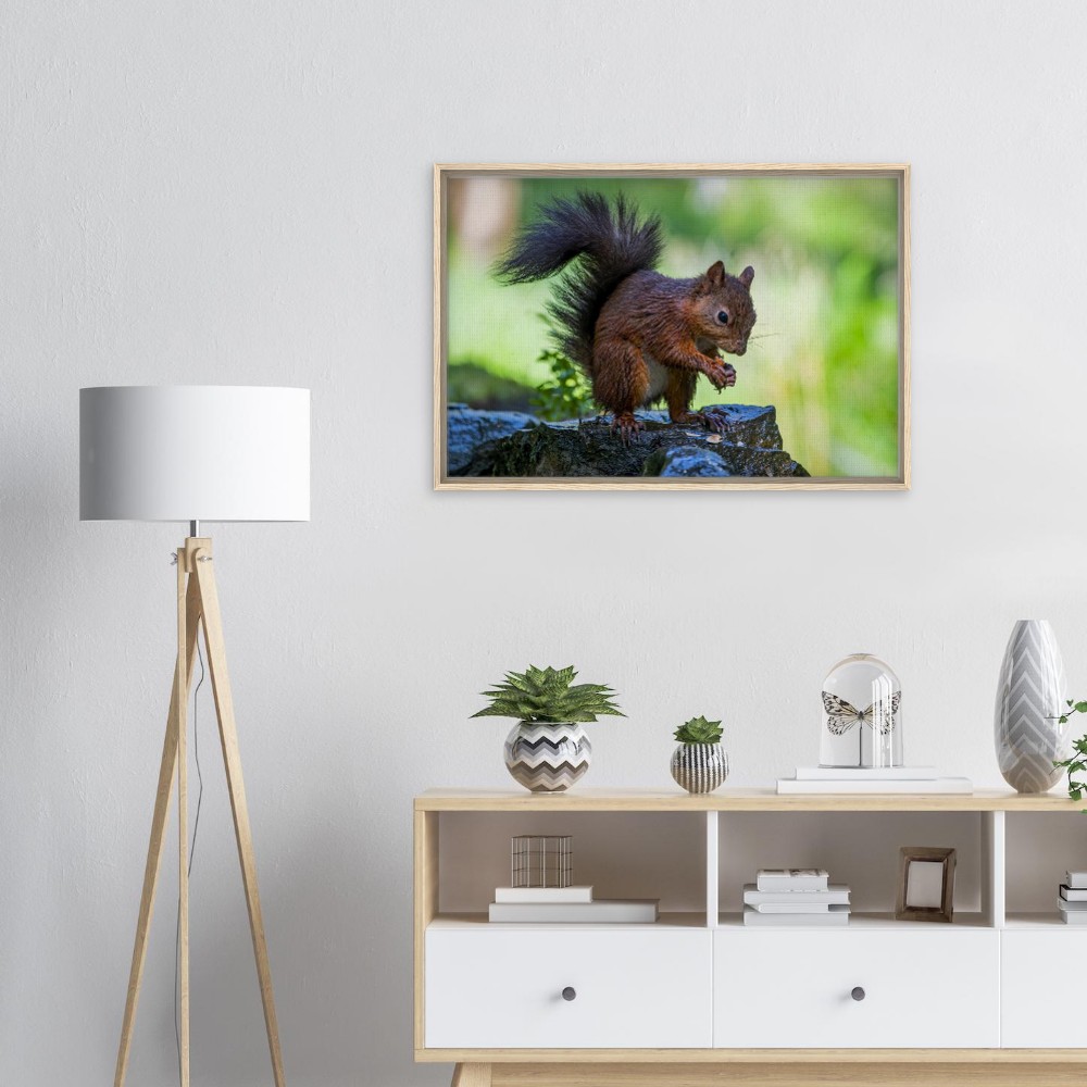 Red Squirrel With An Acorn - Fine art Framed Canvas - Image 4