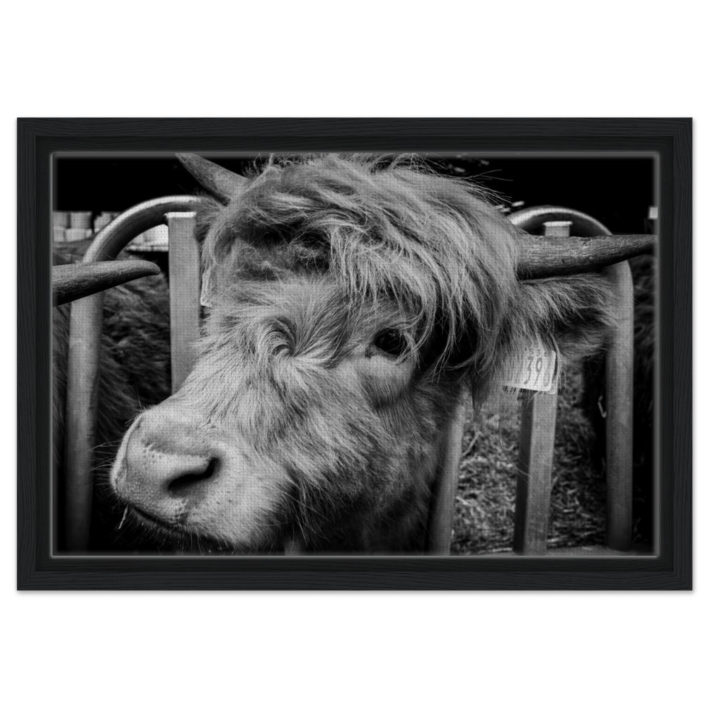 Highland Cow B&W - Framed Canvas - Image 8