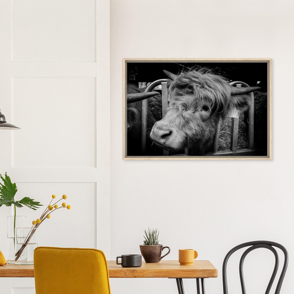 Highland Cow B&W - Framed Canvas - Image 3