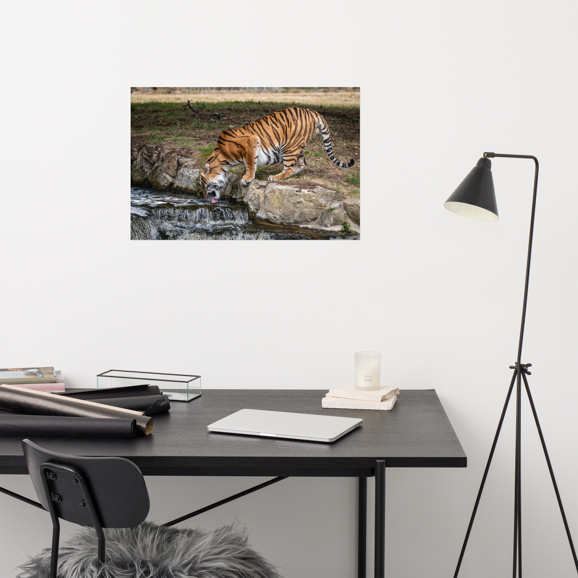 Amur Tiger dinking - Fine art print - Image 9