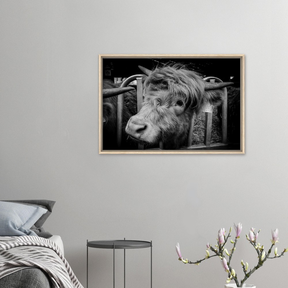 Highland Cow B&W - Framed Canvas - Image 6