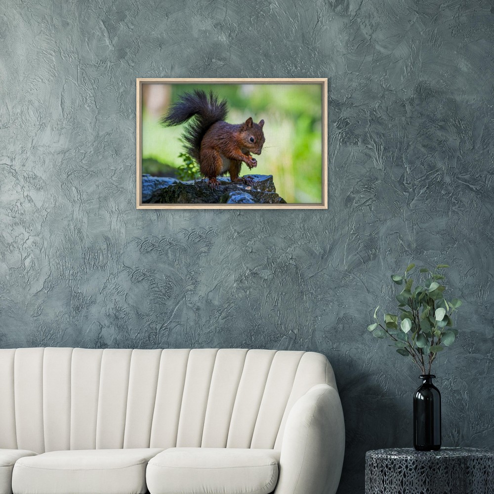 Red Squirrel With An Acorn - Fine art Framed Canvas - Image 3