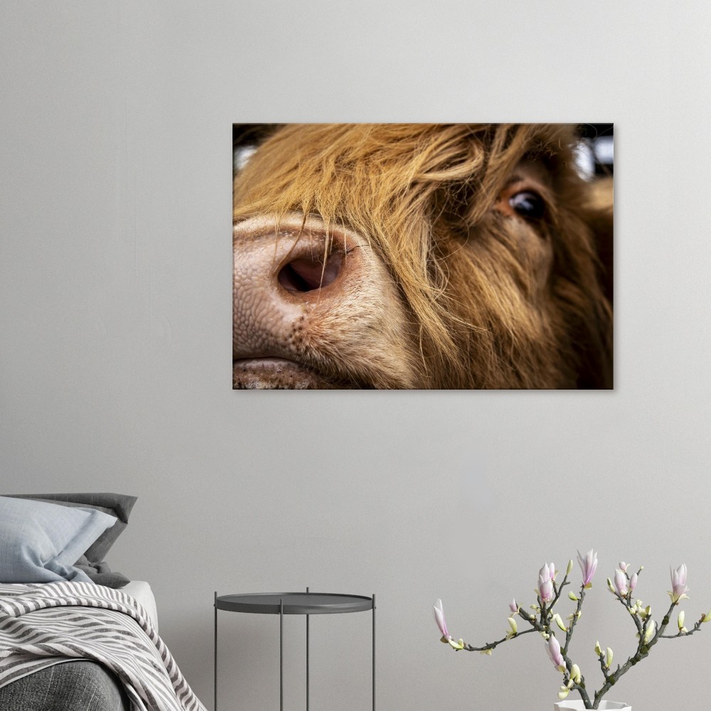 Highland Cow Nose - Fine art Canvas print - Image 3